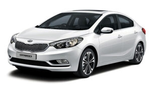 cerato