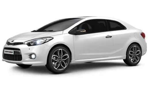 cerato-cupe cerato-cupe
