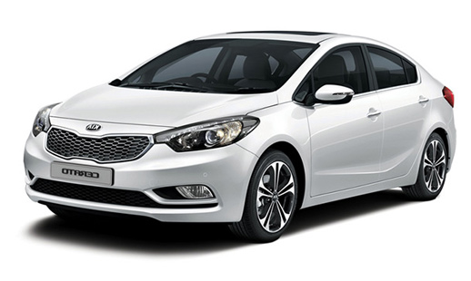 cerato cerato