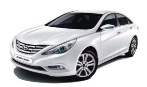 sonata2